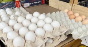 На Волині ціни на яйця зросли на 18% На-Волині-ціни-на-яйця-зросли-на-18%
