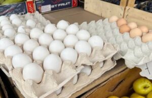 На Волині ціни на яйця зросли на 18% На-Волині-ціни-на-яйця-зросли-на-18%