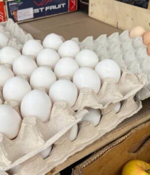 На-Волині-ціни-на-яйця-зросли-на-18%