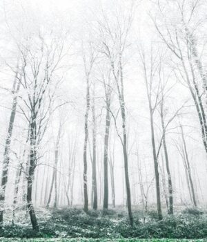 День-ангела-26 грудня:-кого-та як вітати-з іменинами