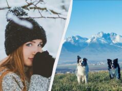 26 грудня є три заборони для жінок: що потрібно знати про свято сьогодні 26-грудня-є-три-заборони-для-жінок:-що-потрібно-знати-про-свято-сьогодні