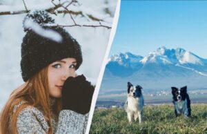 26 грудня є три заборони для жінок: що потрібно знати про свято сьогодні 26-грудня-є-три-заборони-для-жінок:-що-потрібно-знати-про-свято-сьогодні