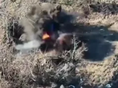 Прикордонники знищили гармату Д-30 та РЕБ окупантів на Північно-Слобожанському напрямку Прикордонники-знищили-гармату-Д-30-та-РЕБ-окупантів-на-Північно-Слобожанському-напрямку