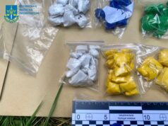 Спіймали із 90 «закладками» біля Луцька: прокурори вимагають для молодика суворішого покарання Спіймали-із-90-«закладками»-біля-Луцька:-прокурори-вимагають-для-молодика-суворішого-покарання