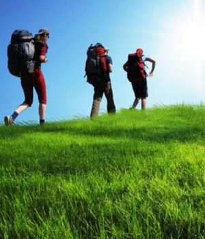 На-Волині-майже-на-чверть-зросли-надходження-туристичного-збору На-Волині-майже-на-чверть-зросли-надходження-туристичного-збору