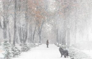 Остання неділя року буде в Україні зі снігом та штормовим вітром, – синоптикиня Діденко Остання-неділя-року-буде-в-Україні-зі-снігом-та-штормовим-вітром,-–-синоптикиня-Діденко