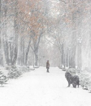 Остання-неділя-року-буде-в-Україні-зі-снігом-та-штормовим-вітром,-–-синоптикиня-Діденко Остання-неділя-року-буде-в-Україні-зі-снігом-та-штормовим-вітром,-–-синоптикиня-Діденко