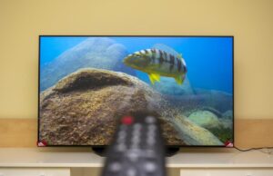 Скільки років у середньому прослужить OLED-телевізор, перш ніж його доведеться замінити Скільки-років-у-середньому-прослужить-oled-телевізор,-перш-ніж-його-доведеться-замінити