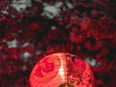 6 знаків китайського зодіаку, яким усміхнеться фінансова удача 28 грудня 6 знаків-китайського-зодіаку,-яким-усміхнеться-фінансова-удача-28 грудня