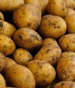 В Україні-різко-змінилася-ціна-на популярний-овоч —-яка-причина