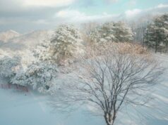 Сніг, хуртовини та штормовий вітер: погода на 29 грудня Сніг,-хуртовини-та-штормовий-вітер:-погода-на-29-грудня