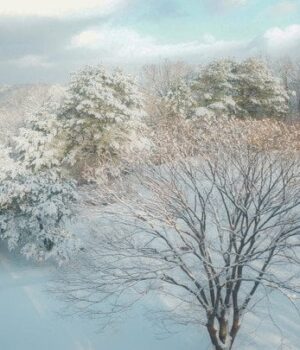 Сніг,-хуртовини-та-штормовий-вітер:-погода-на-29-грудня Сніг,-хуртовини-та-штормовий-вітер:-погода-на-29-грудня