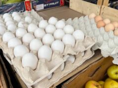 Ціни на яйця зросли на 18%: що кажуть продавці та покупці на луцьких ринках Ціни-на-яйця-зросли-на-18%:-що-кажуть-продавці-та-покупці-на-луцьких-ринках