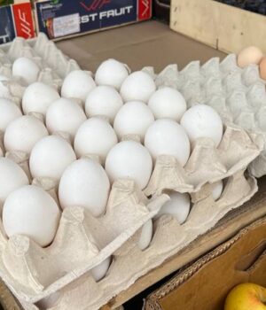 Ціни-на-яйця-зросли-на-18%:-що-кажуть-продавці-та-покупці-на-луцьких-ринках