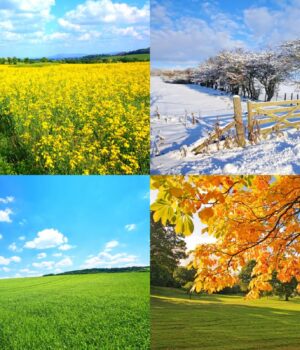 Вчені-зробили-сенсаційне-відкриття-про-пори-року-на-Землі