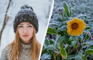 29 грудня – нещасливий день: що небезпечно робити у свято сьогодні 29-грудня-–-нещасливий-день:-що-небезпечно-робити-у-свято-сьогодні