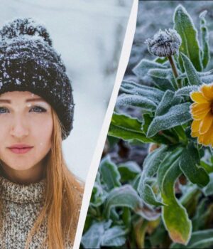 29-грудня-–-нещасливий-день:-що-небезпечно-робити-у-свято-сьогодні 29-грудня-–-нещасливий-день:-що-небезпечно-робити-у-свято-сьогодні