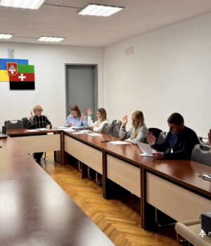 Комісія-з-житлово-побутових-питань-у-Нововолинську-опрацювала-22-питання-порядку-денного