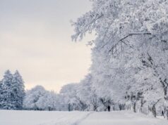 На Новий рік на Волинь прийде справжня зима На-Новий-рік-на-Волинь-прийде-справжня-зима