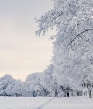 На-Новий-рік-на-Волинь-прийде-справжня-зима