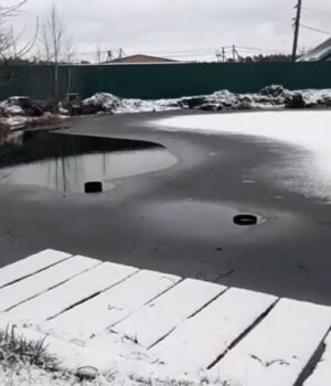 На-Волині-зникли-унікальні-Оконські-джерела.-ВІДЕО На-Волині-зникли-унікальні-Оконські-джерела.-ВІДЕО