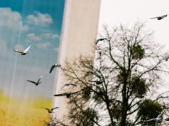 Цьогоріч на Волині зафіксували вже 24 температурні рекорди Цьогоріч-на-Волині-зафіксували-вже-24-температурні-рекорди