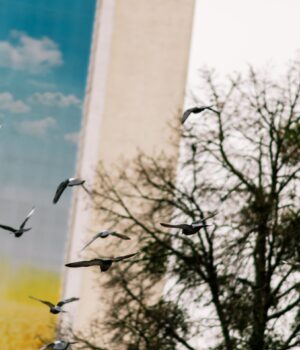 Цьогоріч-на-Волині-зафіксували-вже-24-температурні-рекорди