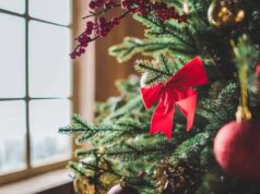 Як уникнути харчового отруєння під час свят. Поради від ЦГЗ Як-уникнути-харчового-отруєння-під-час-свят.-Поради-від-ЦГЗ