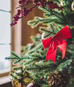 Як-уникнути-харчового-отруєння-під-час-свят.-Поради-від-ЦГЗ