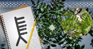 Кельтський гороскоп дерев на 30 грудня 2025 року: день внутрішньої тиші перед новим порогом Кельтський-гороскоп-дерев-на-30-грудня-2025-року:-день-внутрішньої-тиші-перед-новим-порогом