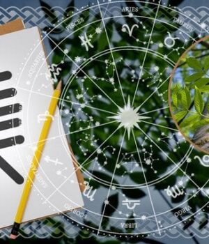 Кельтський-гороскоп-дерев-на-30-грудня-2025-року:-день-внутрішньої-тиші-перед-новим-порогом