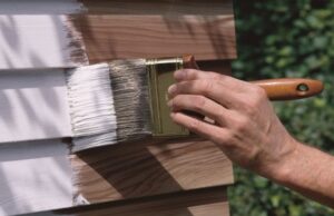 Як обрати фарбу для дерева для зовнішніх і внутрішніх робіт: практичний гайд Як-обрати-фарбу-для-дерева-для-зовнішніх-і-внутрішніх-робіт:-практичний-гайд