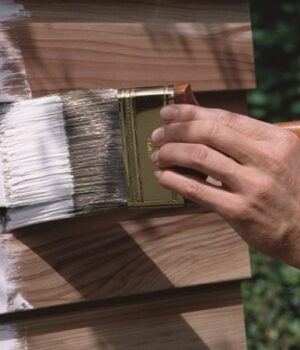 Як-обрати-фарбу-для-дерева-для-зовнішніх-і-внутрішніх-робіт:-практичний-гайд