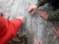 Геологи знайшли в скелі загадкові тунелі, які вказують на існування невідомої істоти Геологи-знайшли-в-скелі-загадкові-тунелі,-які-вказують-на-існування-невідомої-істоти