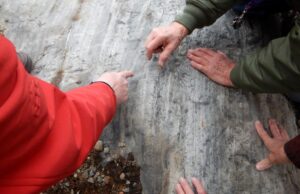 Геологи знайшли в скелі загадкові тунелі, які вказують на існування невідомої істоти Геологи-знайшли-в-скелі-загадкові-тунелі,-які-вказують-на-існування-невідомої-істоти