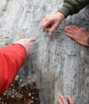 Геологи-знайшли-в-скелі-загадкові-тунелі,-які-вказують-на-існування-невідомої-істоти