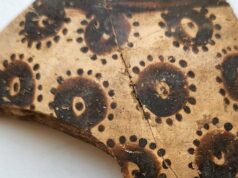 Таємна математика квітів: що виявили археологи в давньому ботанічному мистецтві Таємна-математика-квітів:-що-виявили-археологи-в-давньому-ботанічному-мистецтві