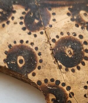 Таємна-математика-квітів:-що-виявили-археологи-в-давньому-ботанічному-мистецтві Таємна-математика-квітів:-що-виявили-археологи-в-давньому-ботанічному-мистецтві