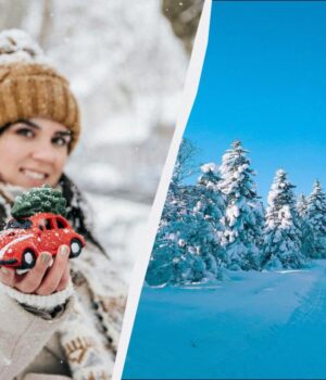 Щедрий-вечір-та-інші-свята-31-грудня:-як-провести-останній-день-року Щедрий-вечір-та-інші-свята-31-грудня:-як-провести-останній-день-року