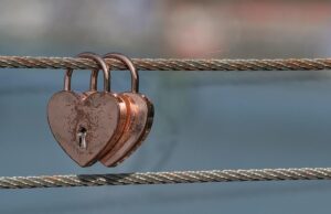 Вчені перелічили 6 видів тварин, які все життя живуть з одним партнером Вчені-перелічили-6-видів-тварин,-які-все-життя-живуть-з-одним-партнером