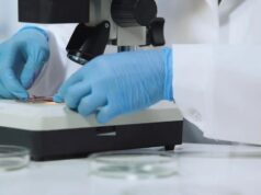 Лікарі б’ють на сполох: смертоносний грибок стає заразнішим і поширюється світом Лікарі-б’ють-на-сполох:-смертоносний-грибок-стає-заразнішим-і-поширюється-світом