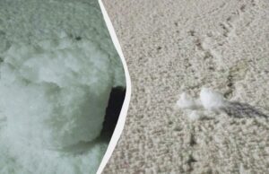 На Вінничині побачили рідкісне зимове явище На-Вінничині-побачили-рідкісне-зимове-явище