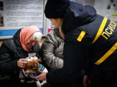 "Після майже 100 годин боротьби з темрявою": Вишгород знову повністю зі світлом "Після-майже-100-годин-боротьби-з-темрявою":-Вишгород-знову-повністю-зі-світлом