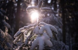 Відома синоптикиня розказала, як зміниться погода в Україні на початку 2026 року Відома-синоптикиня-розказала,-як-зміниться-погода-в-Україні-на-початку-2026-року