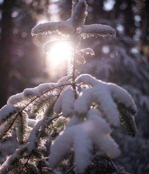 Відома-синоптикиня-розказала,-як-зміниться-погода-в-Україні-на-початку-2026-року
