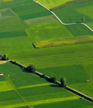 Проводиться-звірка-банківських-реквізитів-власників-земельних-паїв