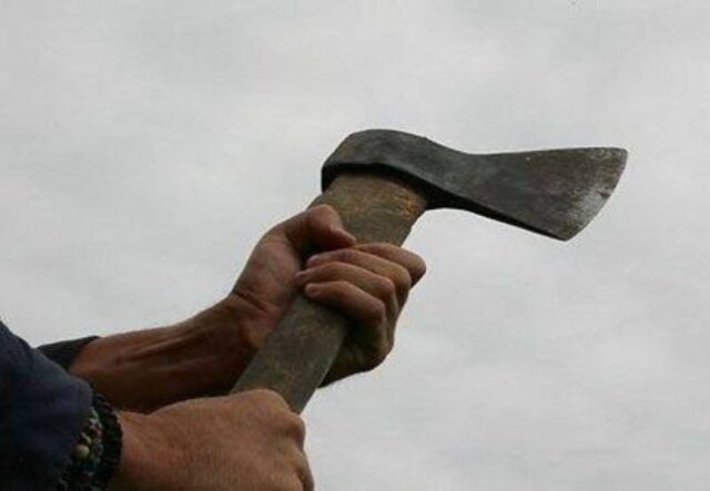 На Волині син сокирою вбив рідну матір, потім намагався покінчити з життям На-Волині-син-сокирою-вбив-рідну-матір,-потім-намагався-покінчити-з-життям