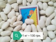 Продам квасолю