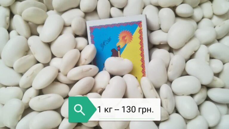 Продам квасолю