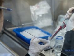 Науковці виявили два нові підтипи розсіяного склерозу за допомогою ШІ Науковці-виявили-два-нові-підтипи-розсіяного-склерозу-за-допомогою-ШІ